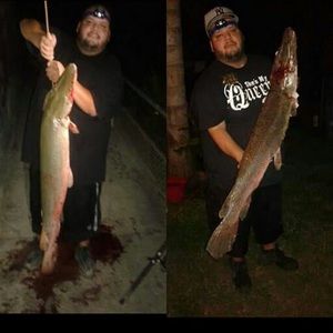 Meet your Posher, Joe